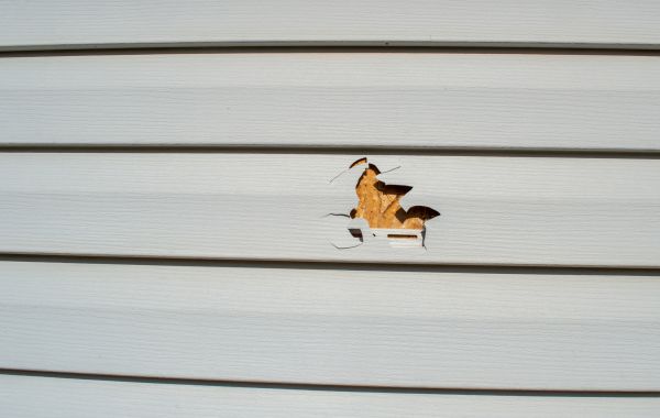 Siding Hole Repair in Humble